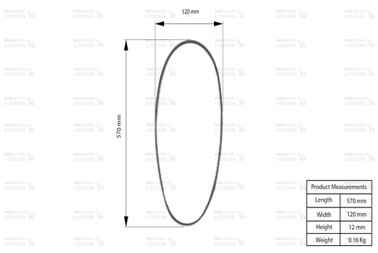 Fan Belt - TATA 813